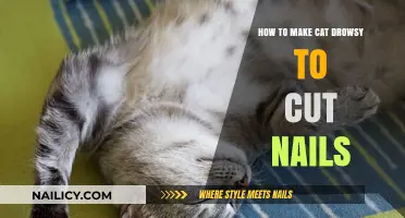 Calmly Drowsing Your Cat for Nail Trims