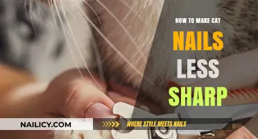 Trim Your Cat's Claws: Tips for Softening Sharp Nails