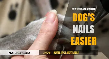 Calmly Clip Your Dog's Nails: Tips and Tricks
