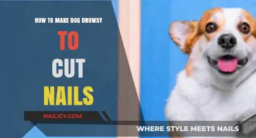 Calm Your Dog for Nail Trims