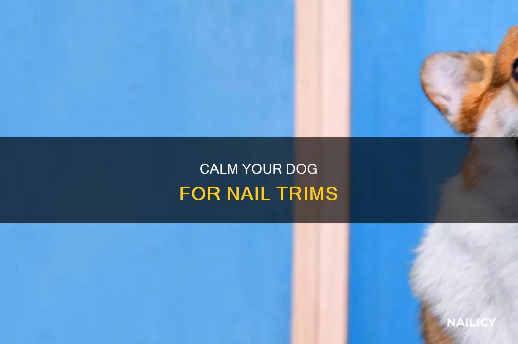 how to make dog drowsy to cut nails