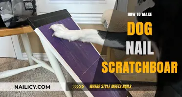 Creating a Scratchboard for Your Dog's Nails