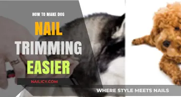 Trimming Dog Nails: A Stress-Free Guide for Owners
