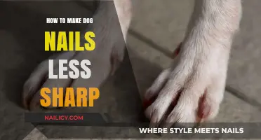 Trim Your Dog's Nails: Smooth and Safe