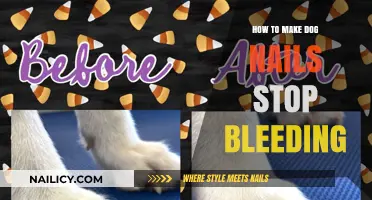 Stop Dog Nail Bleeding: Quick and Easy Methods