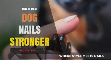 Stronger Dog Nails: Natural Remedies and Tips