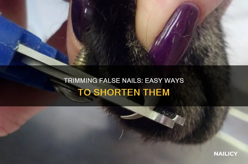 how to make false nails shorter