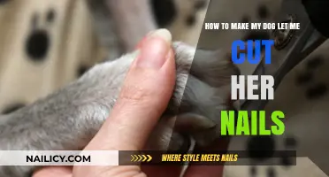 Calmly Trim Your Dog's Nails: Tips and Tricks