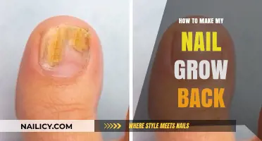 Regrowing Nails: Tips for Quick and Healthy Growth