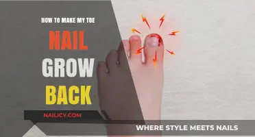 Regrow Your Toenail: Effective Tips for Healthy Nail Recovery