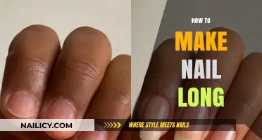 Effective Tips for Growing Strong, Healthy, and Long Nails Fast
