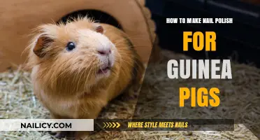 Safe DIY Nail Polish for Guinea Pigs: Fun and Easy Guide