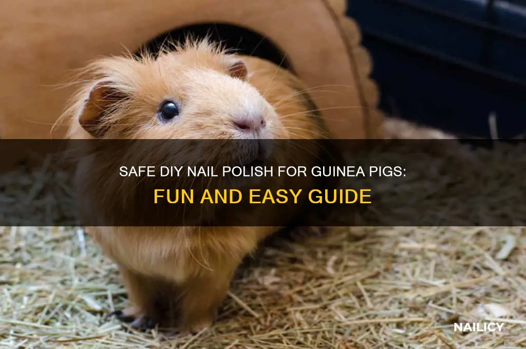 how to make nail polish for guinea pigs