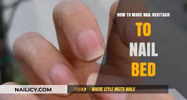 Reattach Your Nail: Effective Steps to Heal and Restore Your Nail Bed