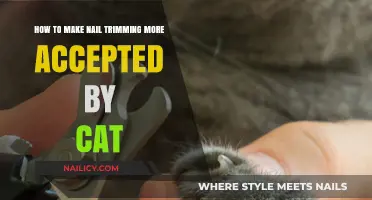 Make Nail Trimming a Comfortable Experience for Your Cat