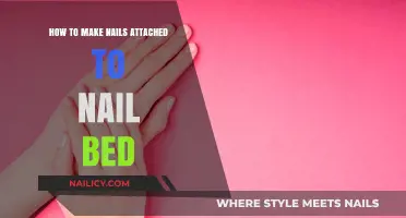 Strengthen and Secure: Attaching Nails to Nail Beds Effectively