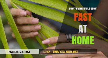 Quick Tips for Faster Nail Growth: Home Remedies Revealed