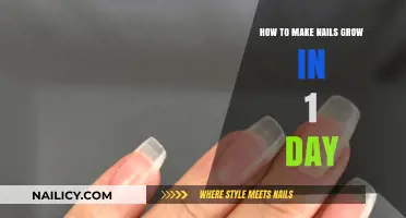 Quick Nail Growth Secrets: Accelerate Length in Just 24 Hours