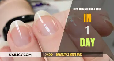 Quick Nail Growth Tips: Achieve Longer Nails in Just 24 Hours