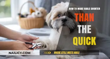 Safely Trimming Nails Shorter Than the Quick: A Step-by-Step Guide