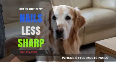 Trim Your Pup's Nails: Smooth and Safe