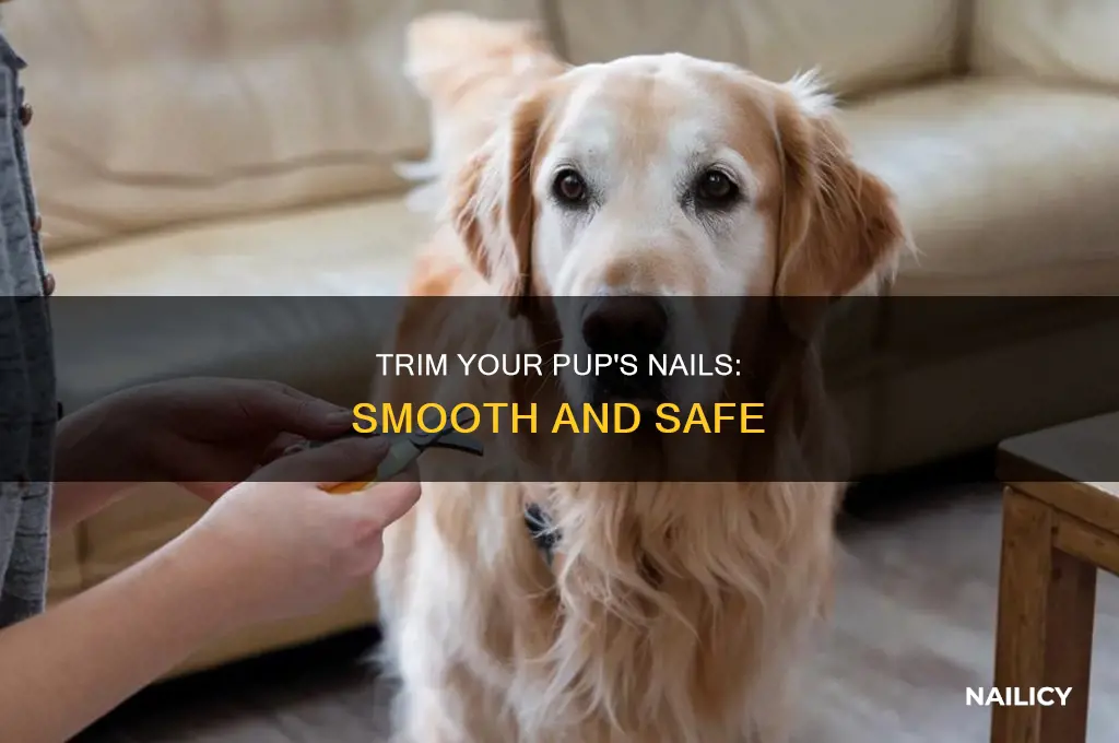 how to make puppy nails less sharp