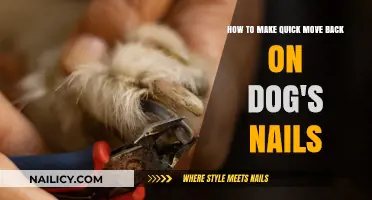 Quickly Trim Your Dog's Nails: A Step-by-Step Guide for Pet Owners