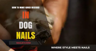 Quickly Recede Dog Nail Overgrowth: Simple and Effective Home Remedies