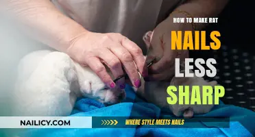 Gentle Rat Nail Care: Tips to Safely Blunt Sharp Claws