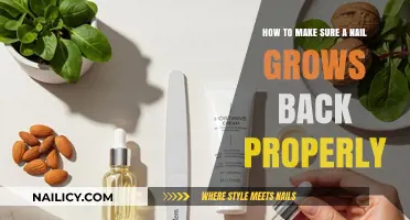 Nail Recovery Guide: Ensuring Healthy Regrowth After Injury or Damage