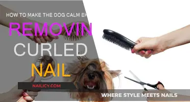 Calmly Clipping Curled Nails: Tips for a Relaxed Pup