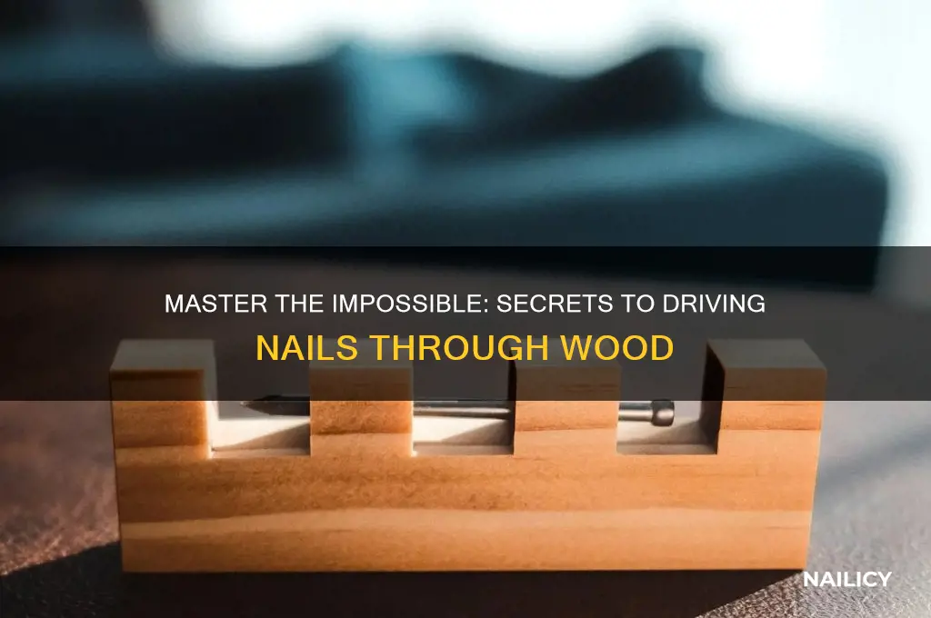 how to make the impossible nail through wood trick