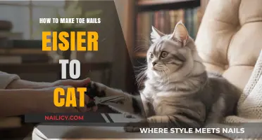 Simplify Toenail Trimming: Tips for Easier Cat Grooming at Home