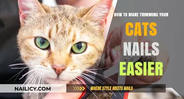 Simplify Cat Nail Trimming: Tips for Stress-Free Claw Care