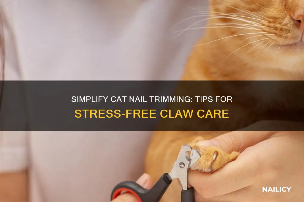 Curated visual reference: Gallery Detail: Simplify Cat Nail Trimming Tips For Stress Free Claw Care
