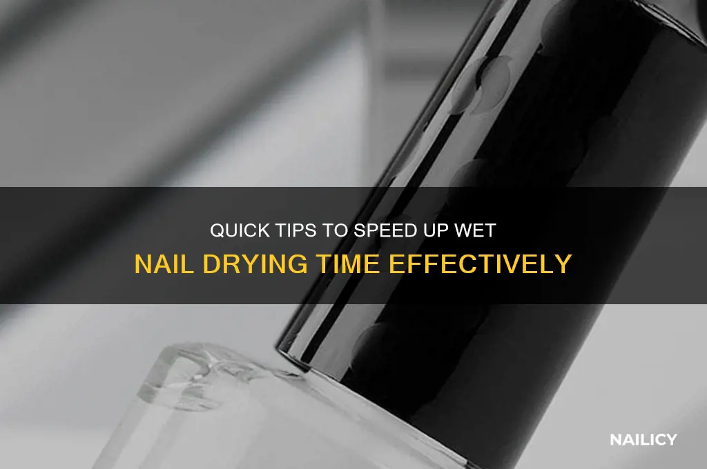 how to make wet nails dry