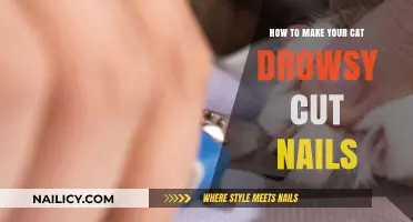 Calm Clipping: Gentle Tips to Drowsy Your Cat for Nail Trims