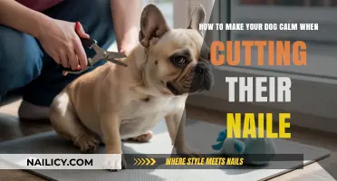 Calm Canine Clipping: Gentle Tips for Stress-Free Nail Trims