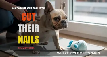 Calm Clipping: Gentle Tips for Stress-Free Dog Nail Trims