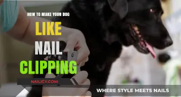 Pain-Free Paw Care: Tips to Make Your Dog Enjoy Nail Clipping