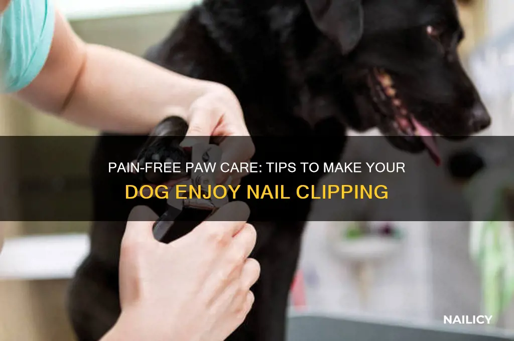 how to make your dog like nail clipping