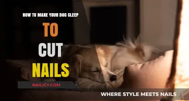 Calmly Cutting Nails: Tips for a Sleeping Pup