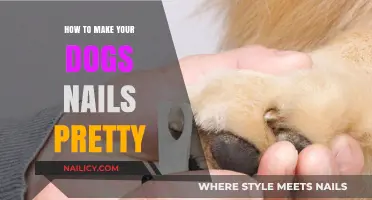 Grooming Tips: Achieve Beautiful, Healthy Dog Nails with Ease