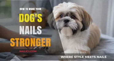 Strengthen Your Dog's Nails: Simple Tips for Healthier Paws