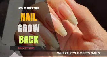 Effective Tips to Regrow Your Nails Naturally and Quickly