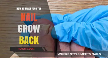 Regrow Your Toenail: Effective Tips for Healthy Nail Regeneration