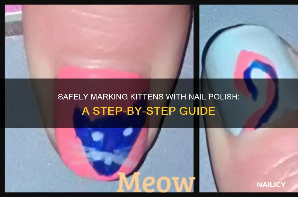 how to mark kittens nail polish