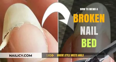 Quick Fixes: Healing and Repairing Your Broken Nail Bed