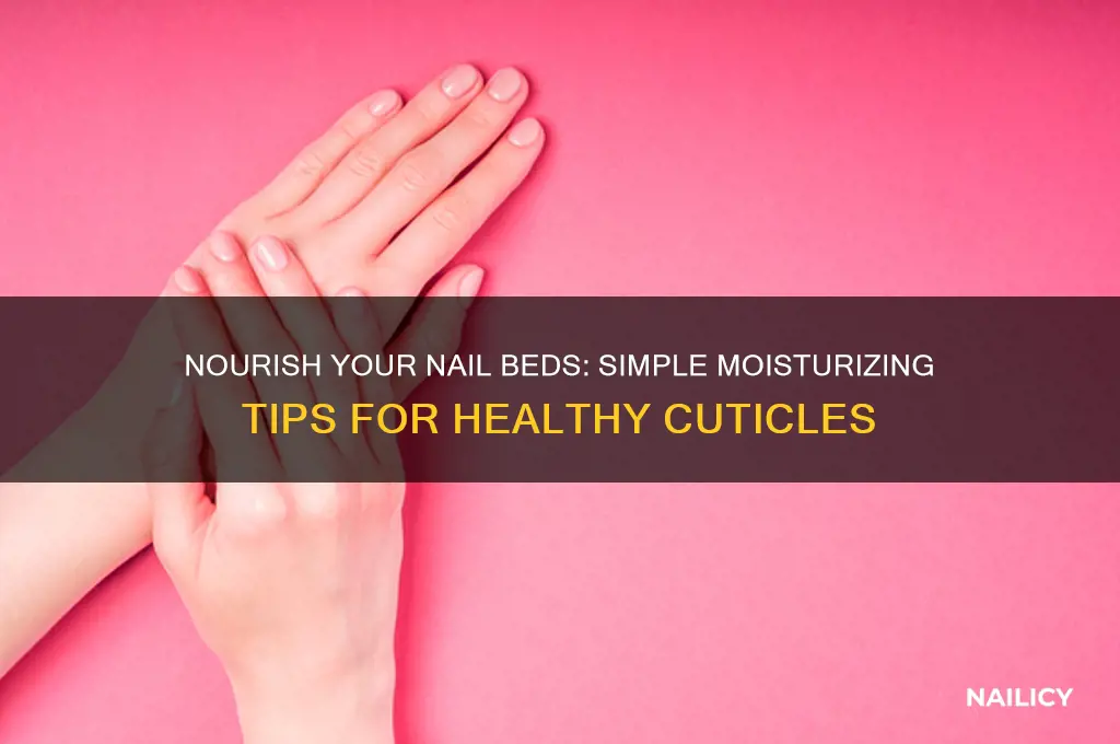 how to moisturize nail bed