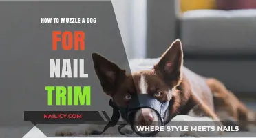 Muzzling Your Dog for Nail Trims: A Step-by-Step Guide